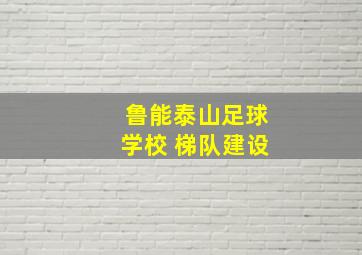 鲁能泰山足球学校 梯队建设